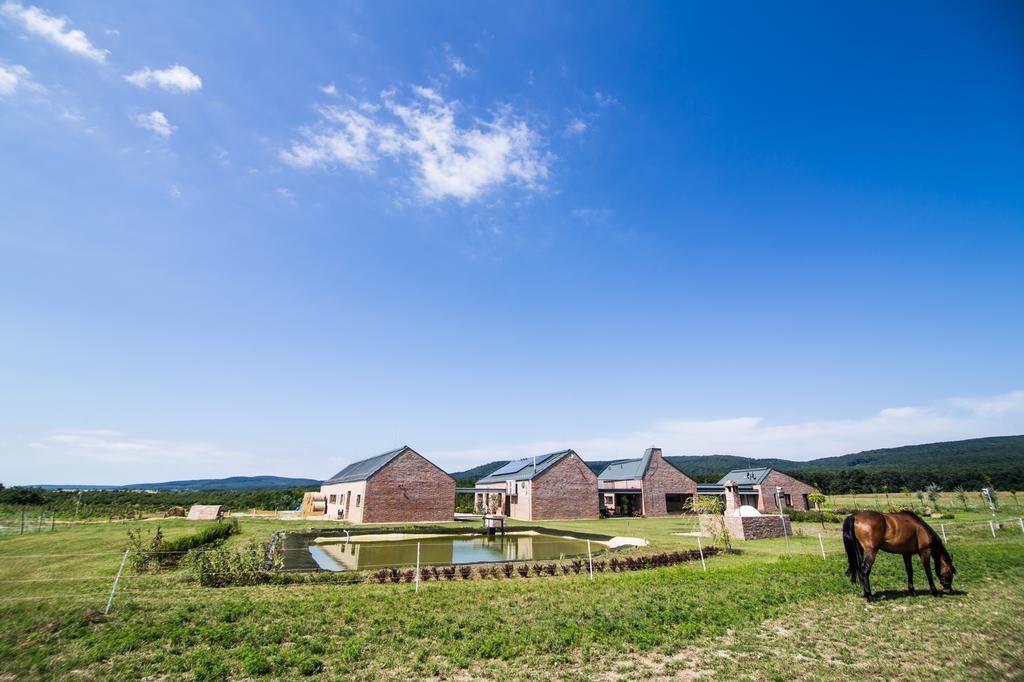 Öregtölgy Guest House Szár Exterior foto